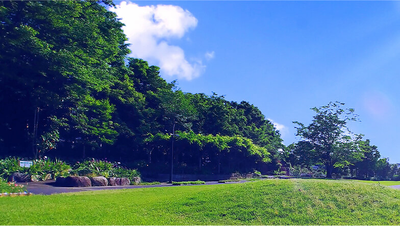 持続可能な社会への貢献