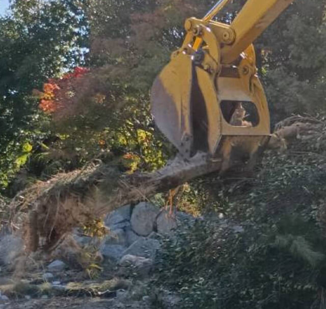川西市(仮称)花屋敷１階RC造２階以降木造居宅解体工事及び480㎡森林植栽伐採工事敷地面積1000㎡